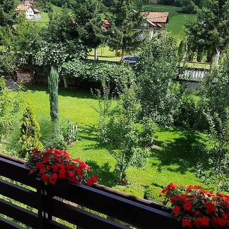 Paradise Enver 4* Dubrave Gornje