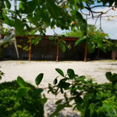 Guest house Paradise Enver
